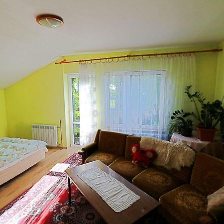 Agroturystyka Tyniok Koniaków 外观 照片