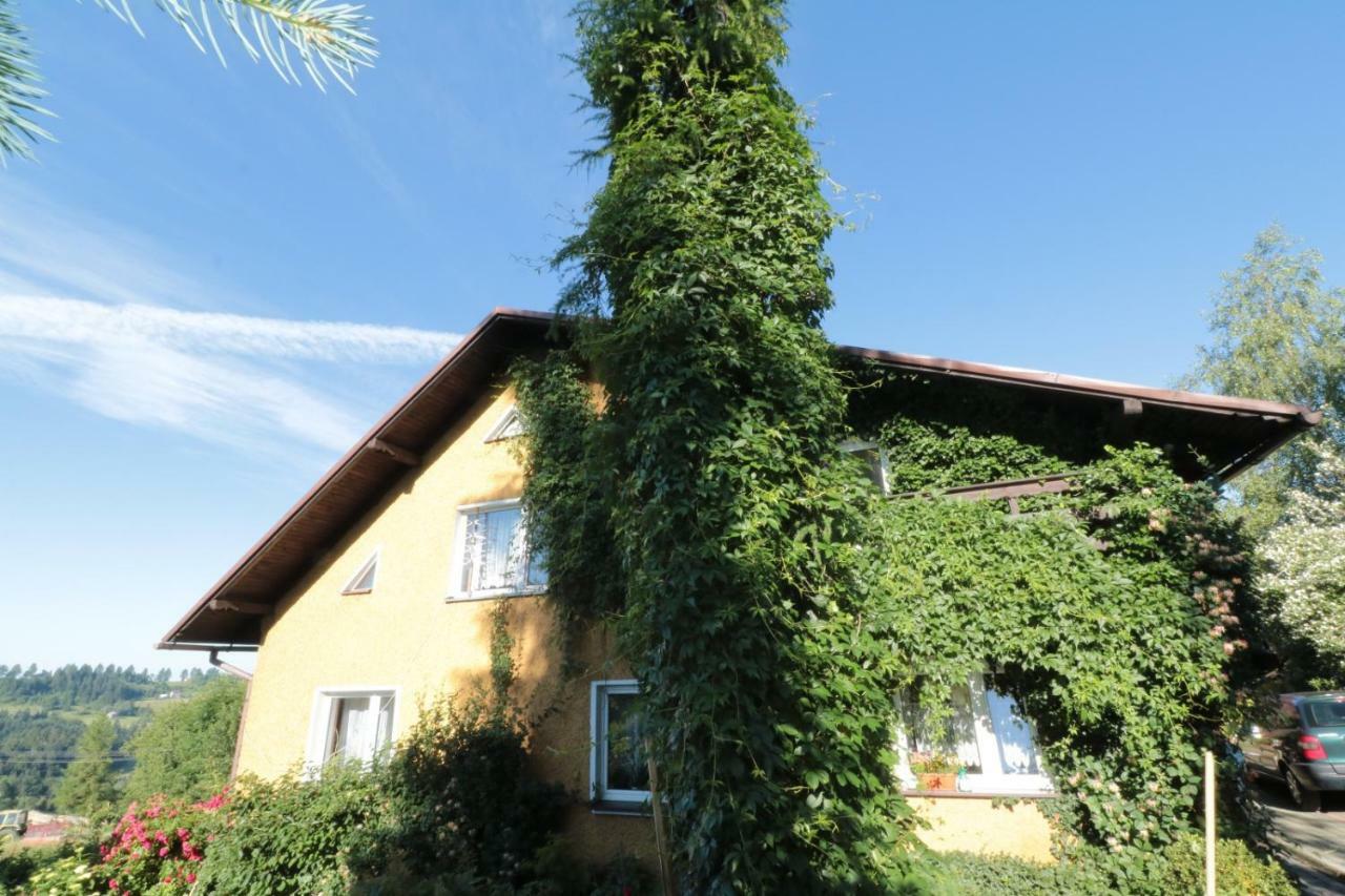 Agroturystyka Tyniok Koniaków 外观 照片